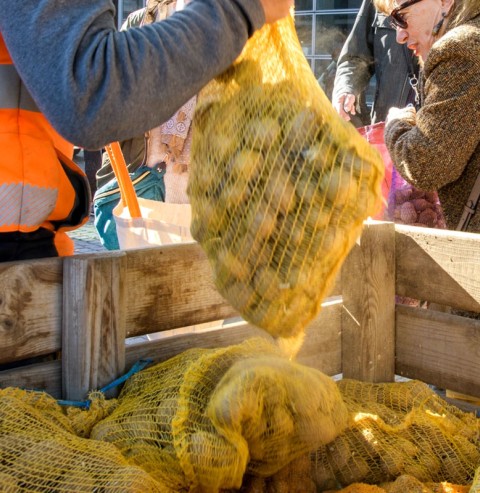 sacs de pommes de terre lors de la distribution