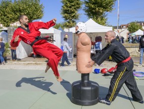 Agrandir l'image
