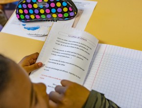 Agrandir l'image