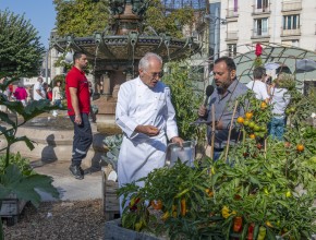 Agrandir l'image
