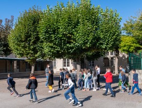 Agrandir l'image