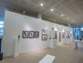 Agrandir l'image
