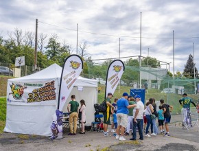 Agrandir l'image