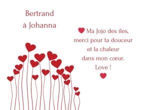 Agrandir l'image