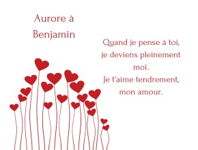 Agrandir l'image