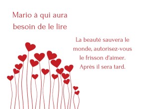 Agrandir l'image