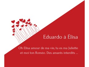 Agrandir l'image