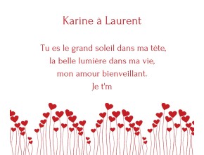 Agrandir l'image