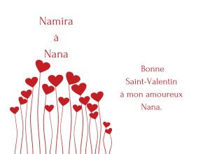 Agrandir l'image