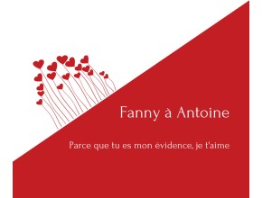 Agrandir l'image