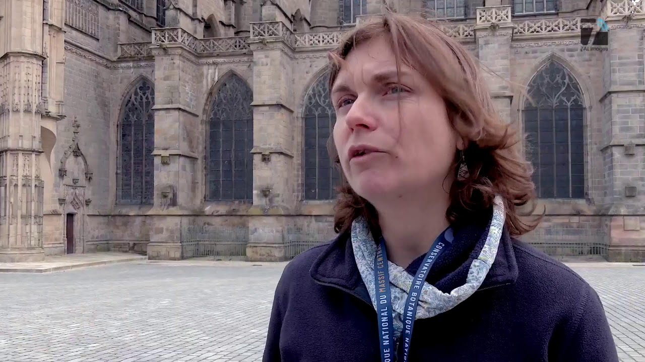 La chaîne en direct